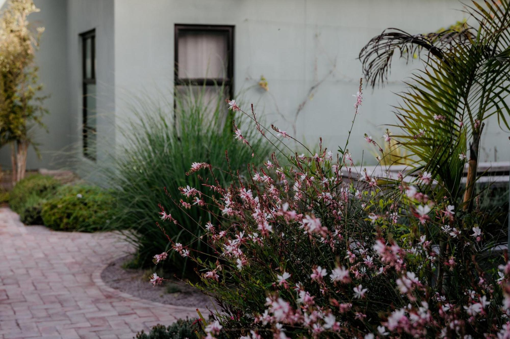 סווקופמונד Fancy Fritz B&B מראה חיצוני תמונה